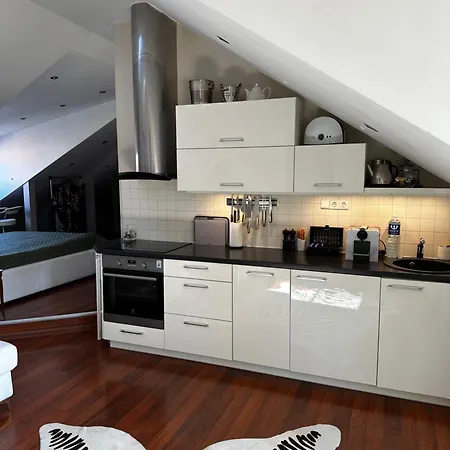 Apartment Cosy In The Heart Of Old Town In Vilnius